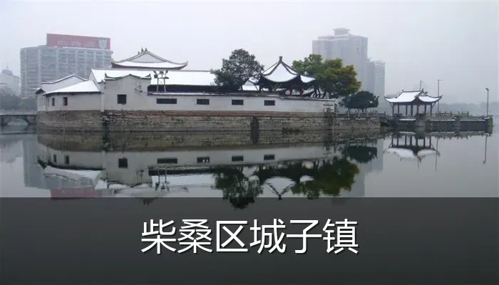 柴桑区城子镇