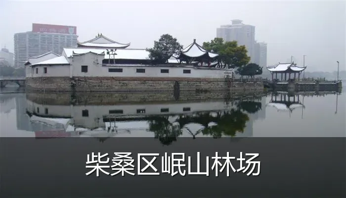柴桑区岷山林场