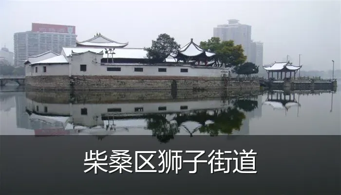 柴桑区狮子街道